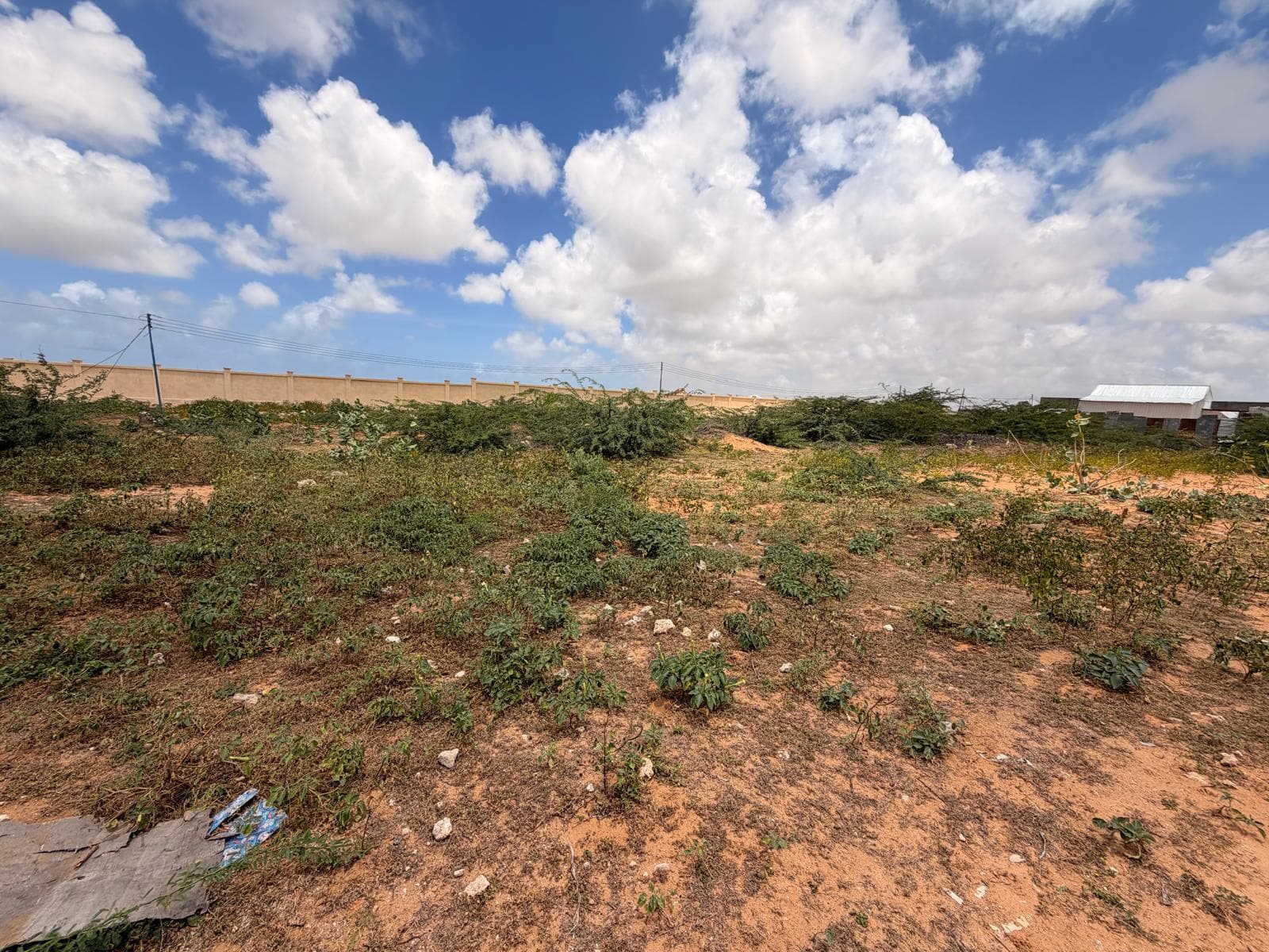 Plots for Sale and rent in Bangala, Dayniiile 2
