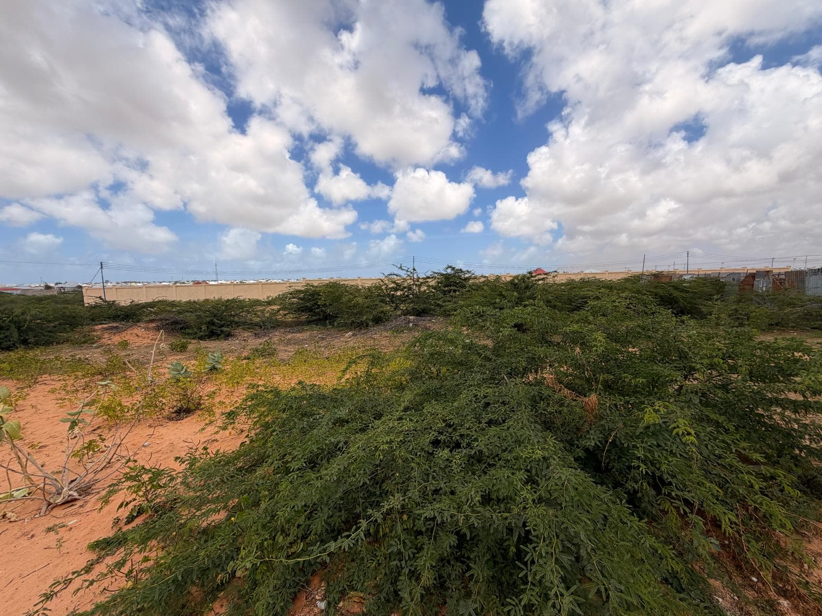 Plots for Sale and rent in Bangala, Dayniiile 3